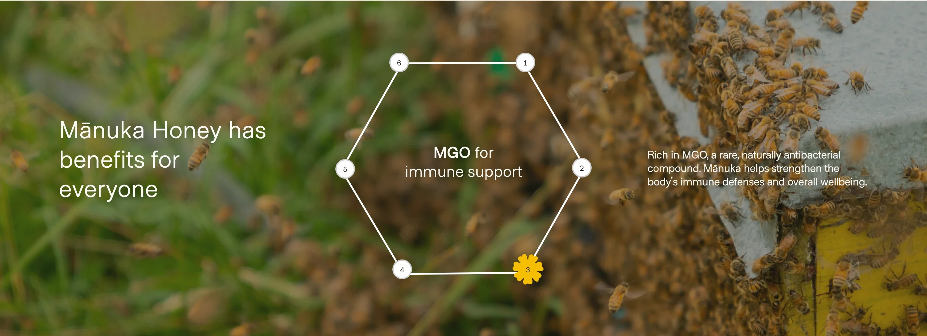 Mānuka Benefits for Everyone