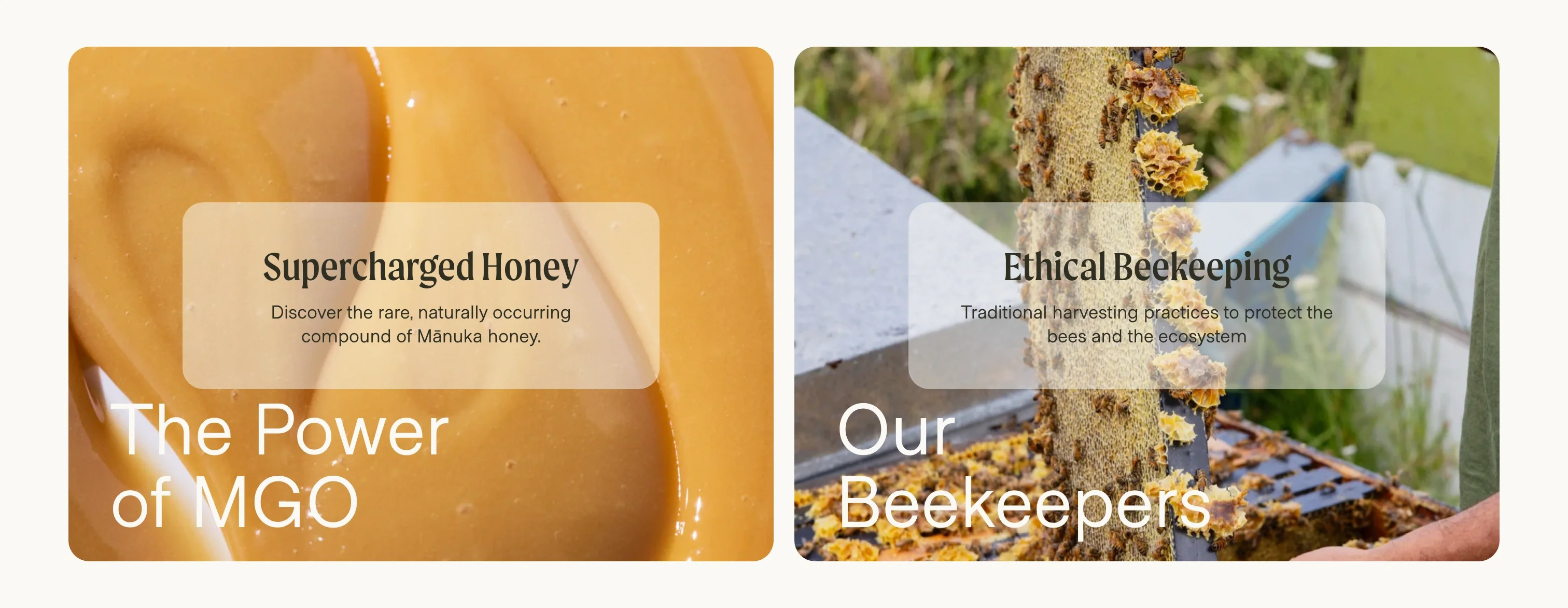 Supercharged Honey & Ethical Beekeeping