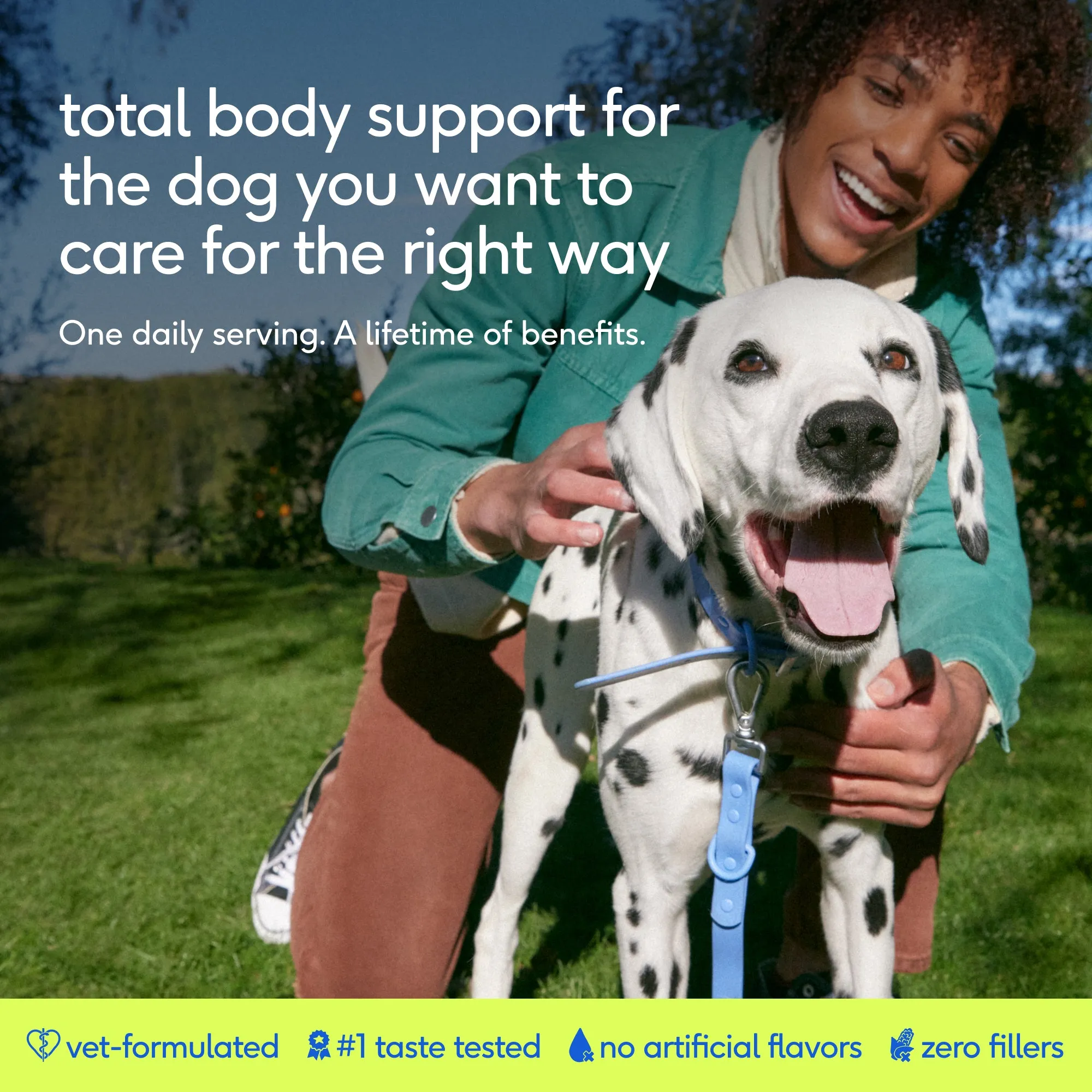 The Daily — Product Introduction