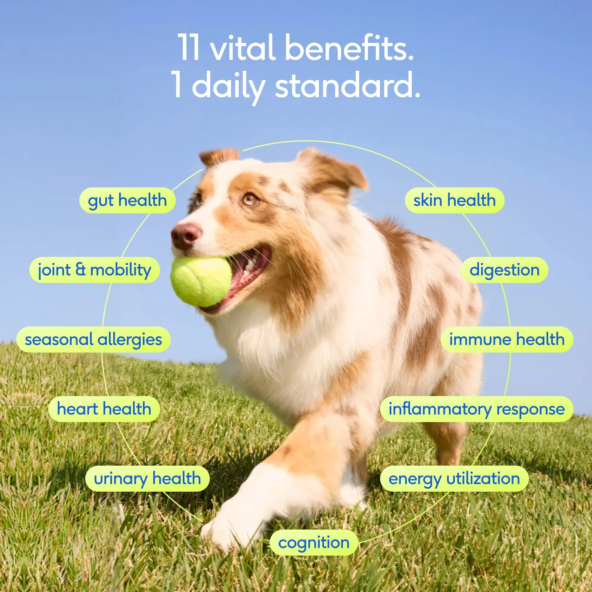 The Daily — Health Benefits