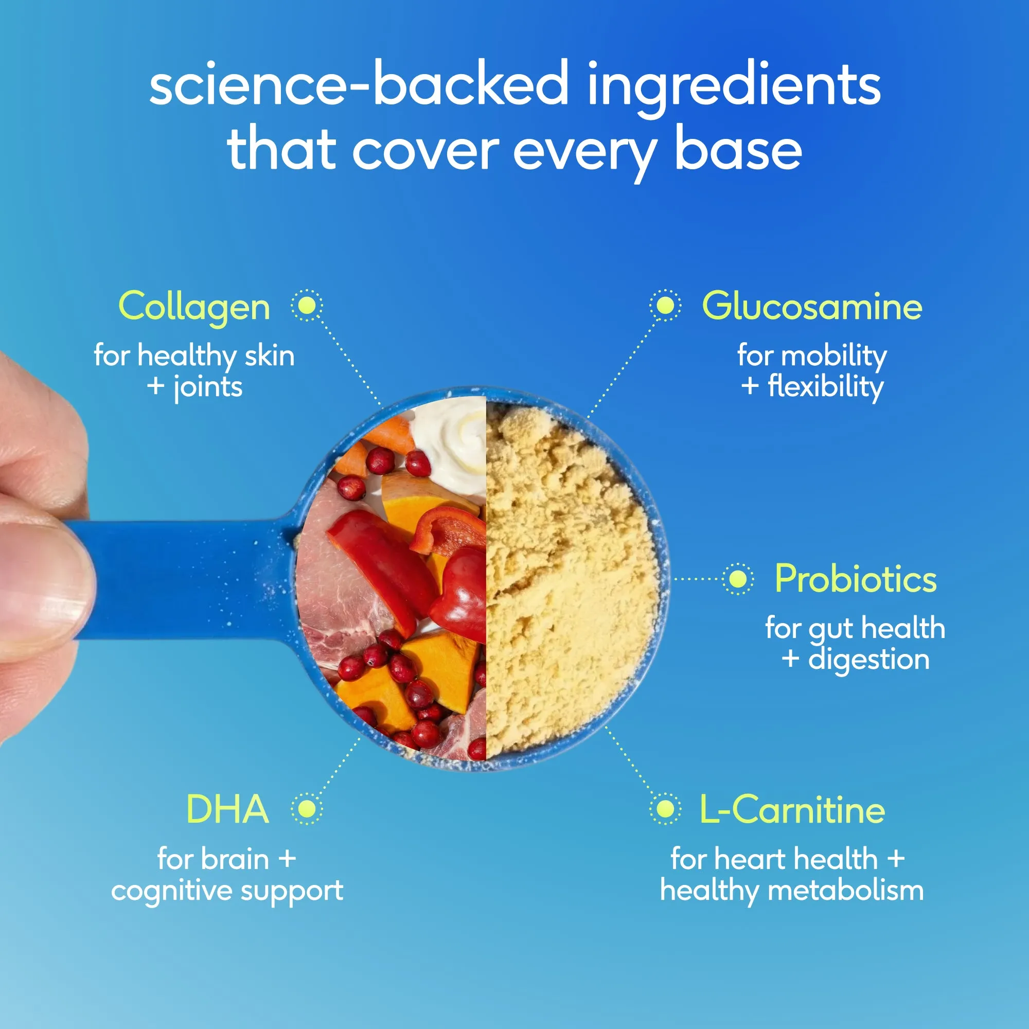 The Daily — Ingredients List