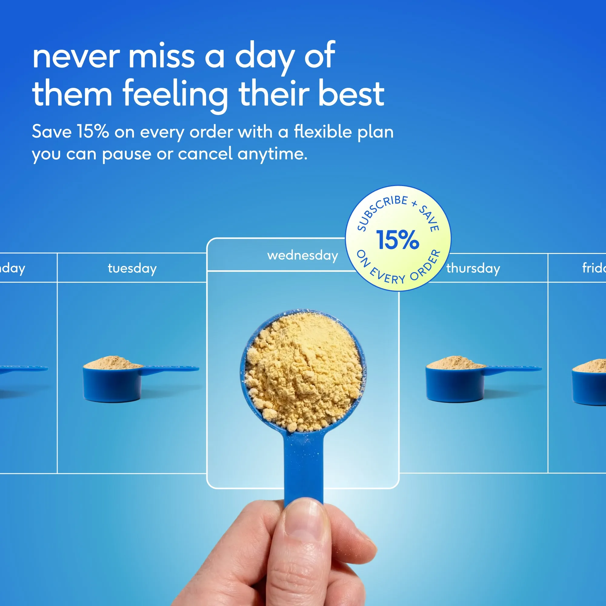 The Daily — Subscription Offer