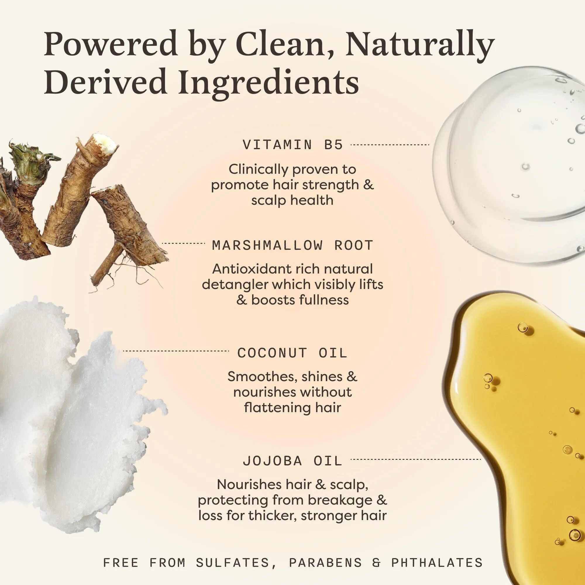 Shampoo Bar — Hair Results