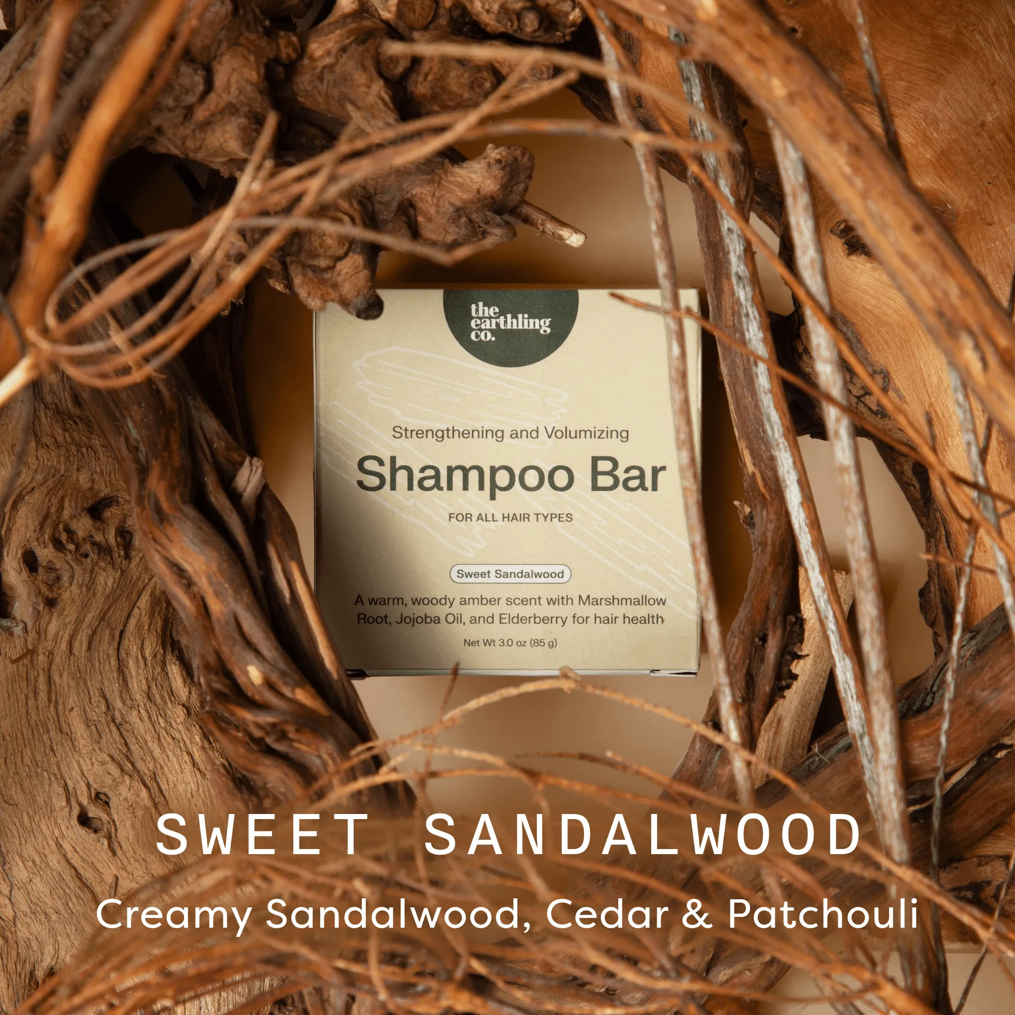 Shampoo Bar — Benefits Infographic