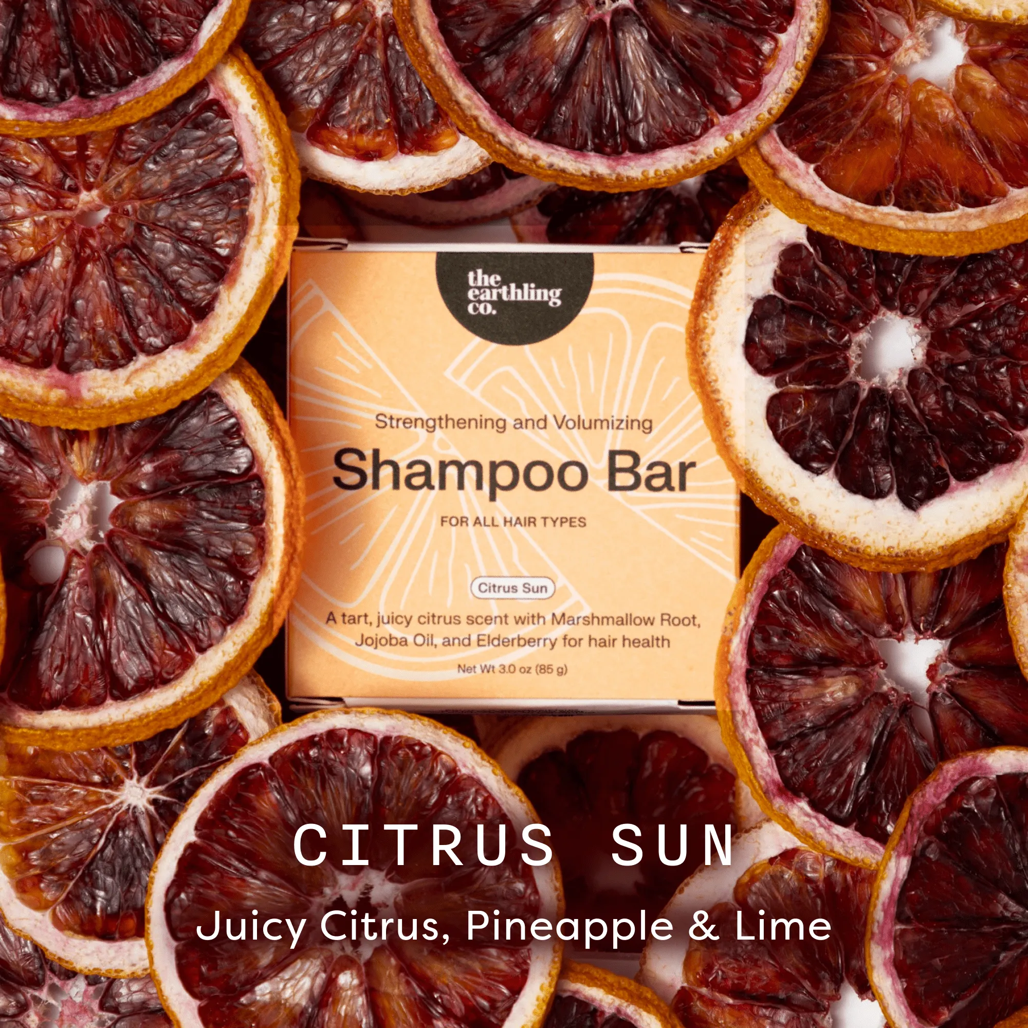 Shampoo Bar — Clinical Results Infographic