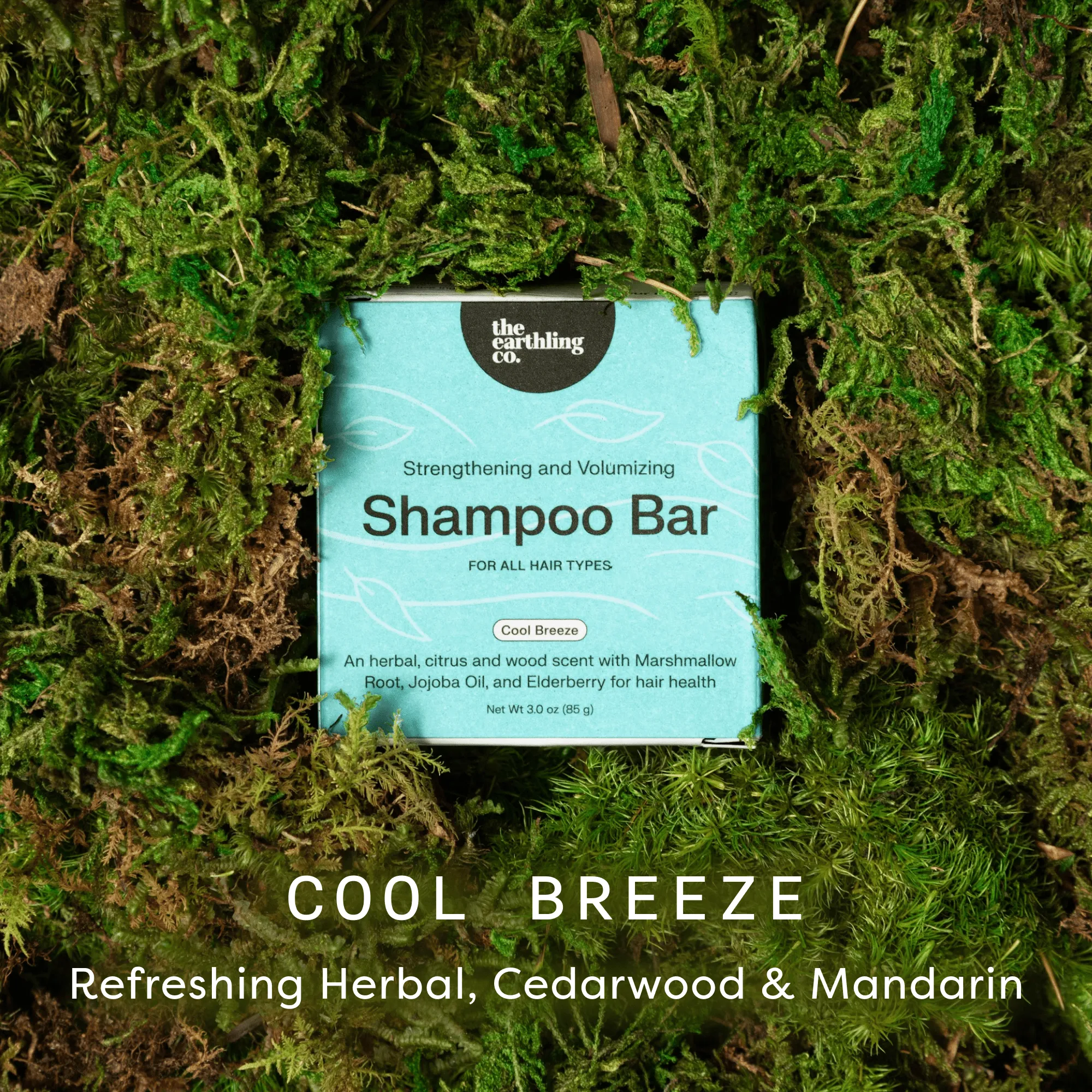 Shampoo Bar — How to Use Guide