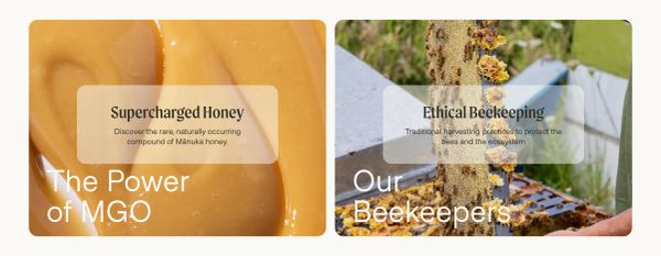 Supercharged Honey & Ethical Beekeeping
