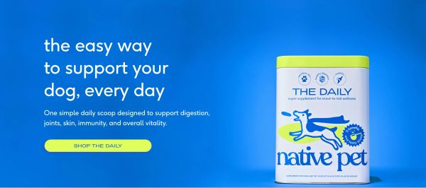 The Daily — Daily Supplement