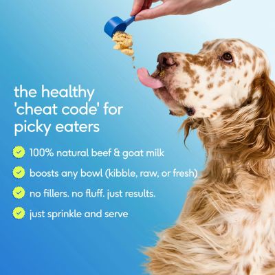 Product from Native Pet